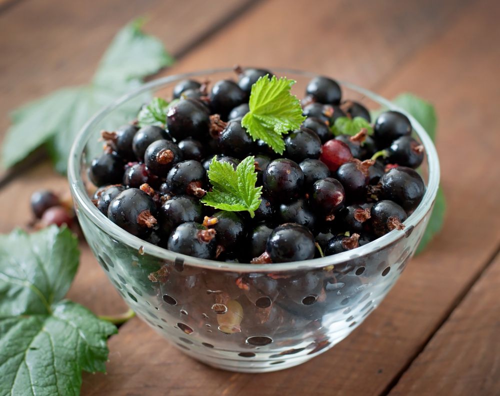Flavor Of The Year 2026: The Global Rise Of The Black Currant