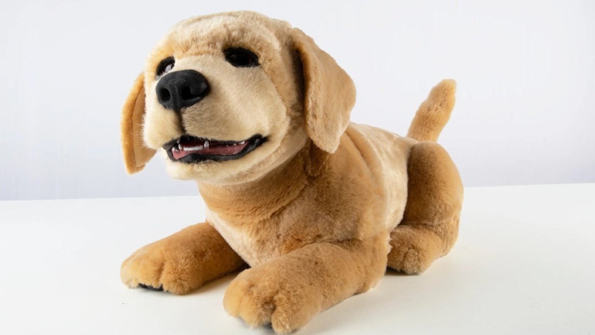 Meet Jennie, The AI Dog By Tombot