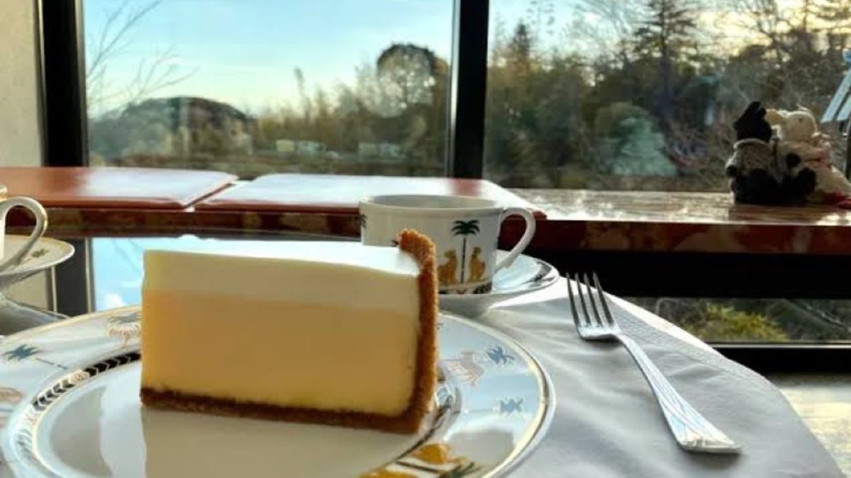 Try This Delicious Japanese Cheesecake By Fusako Holthaus!