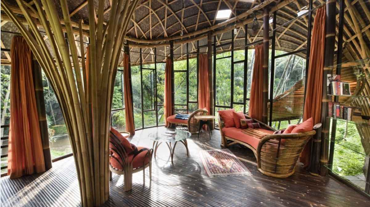 Why This ‘Nature’s Steel’ Is The Future Of Sustainable Building!