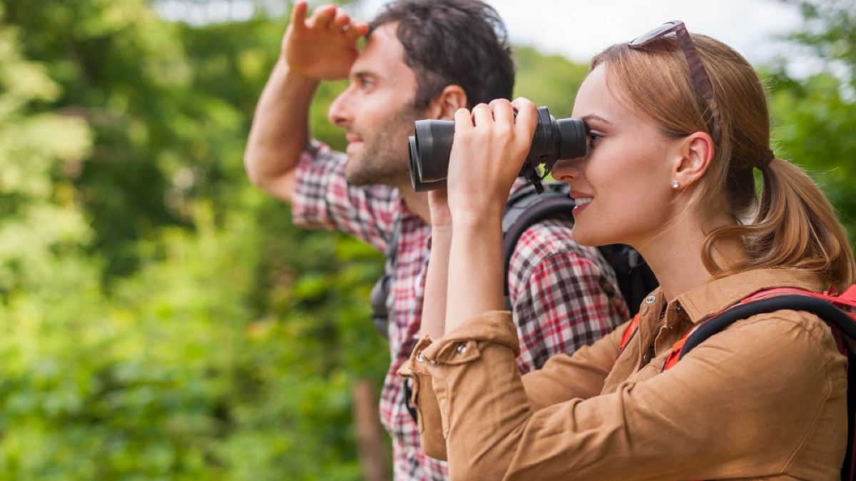 Mastering Over Stress Through Hushed Hobbies!