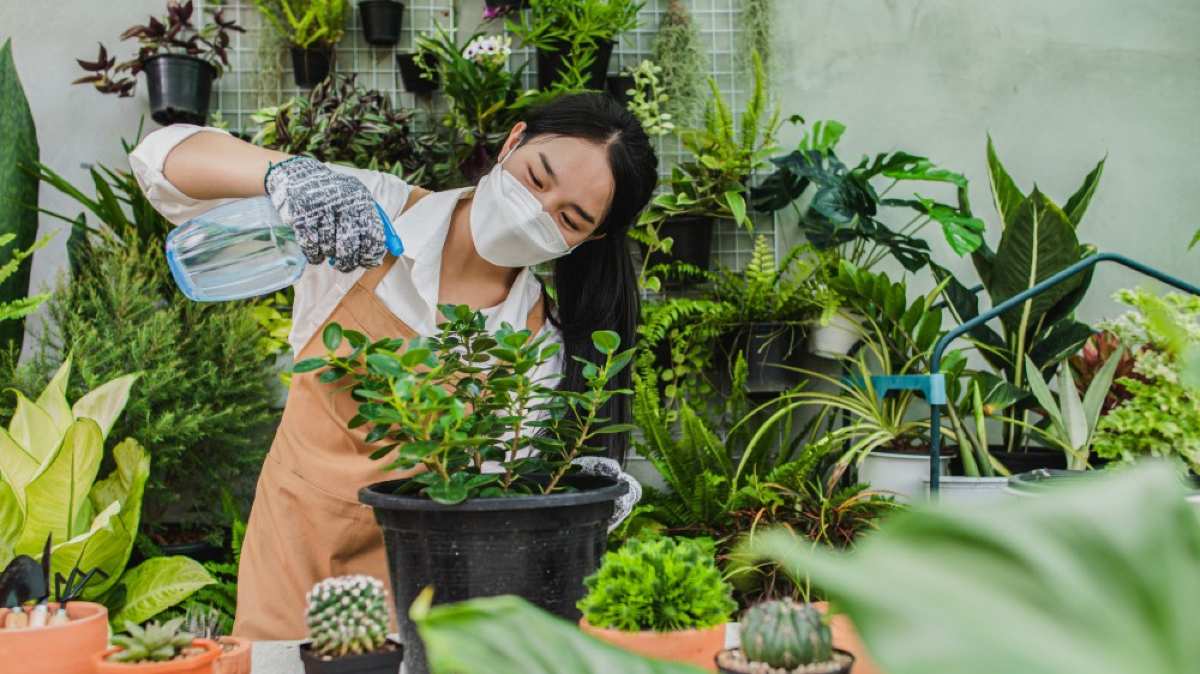 Master ‘Urban Gardening’ With Smart Tech And Style!