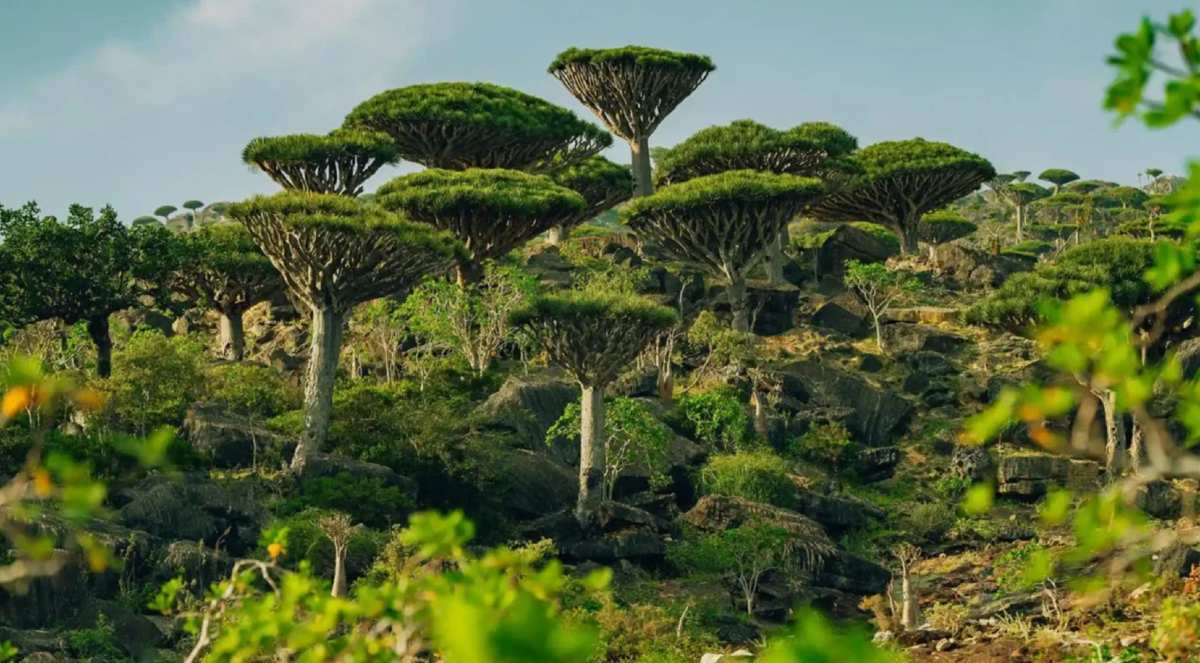 5 Spots You’ve Never Seen On Your Instagram Feeds