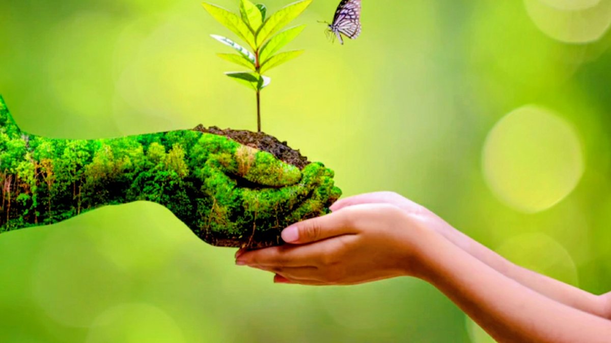 How To Start A Zero-Waste Lifestyle