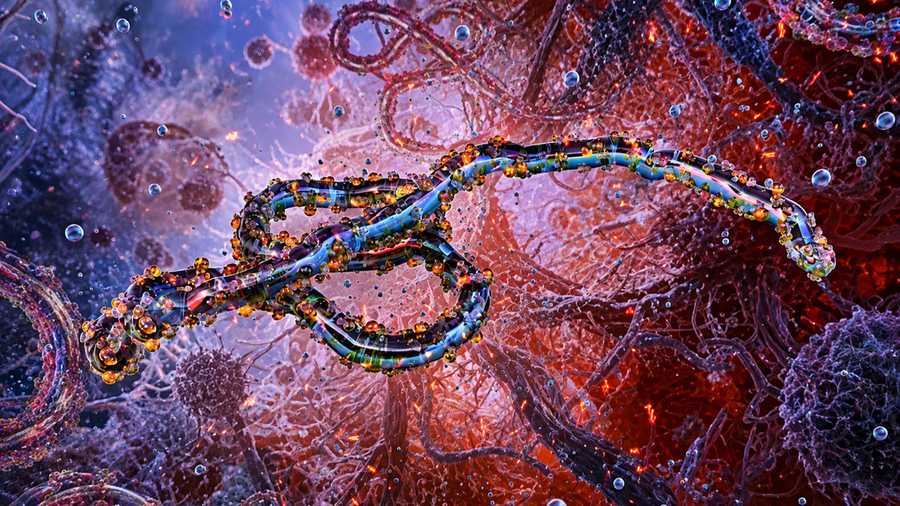 Where Did Ebola Come From and How Did It Spread?