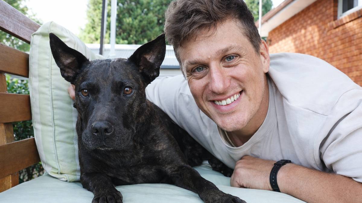 How ChatGPT Helped Create a Cancer Vaccine for a Dog