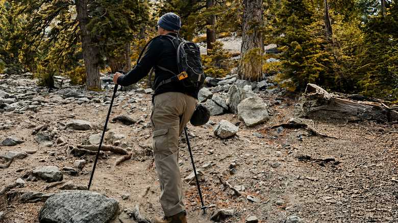 How to Stay Safe While Hiking Solo: 6 Essential Tips