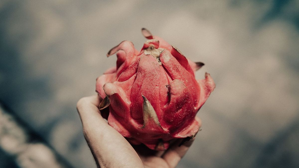 7 Foods Where Visual Appearance Outmatches Flavor
