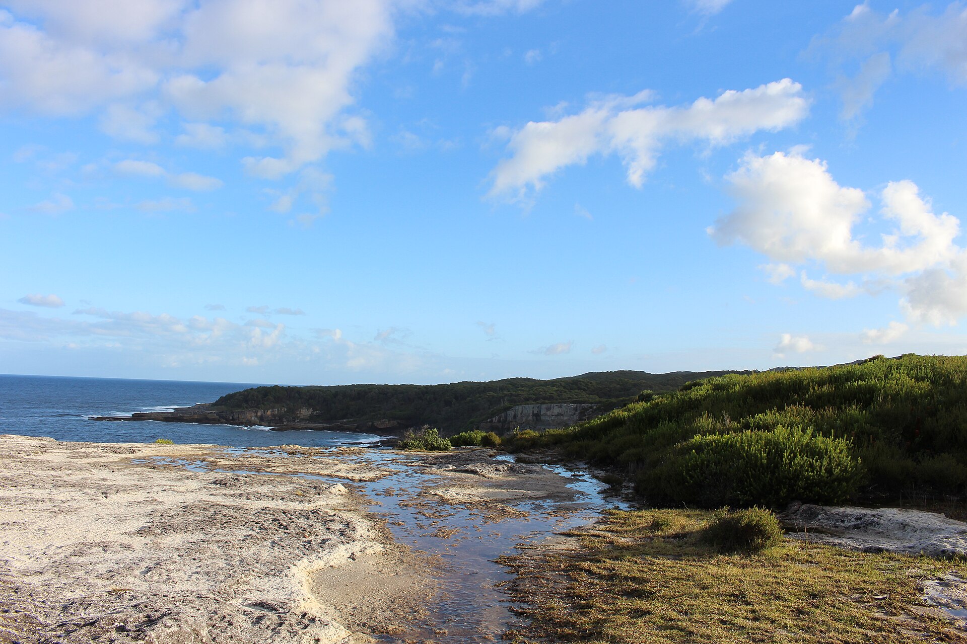 his photo was taken in the Booderee National Park near the ruins of the Cape St George Lighthouse.