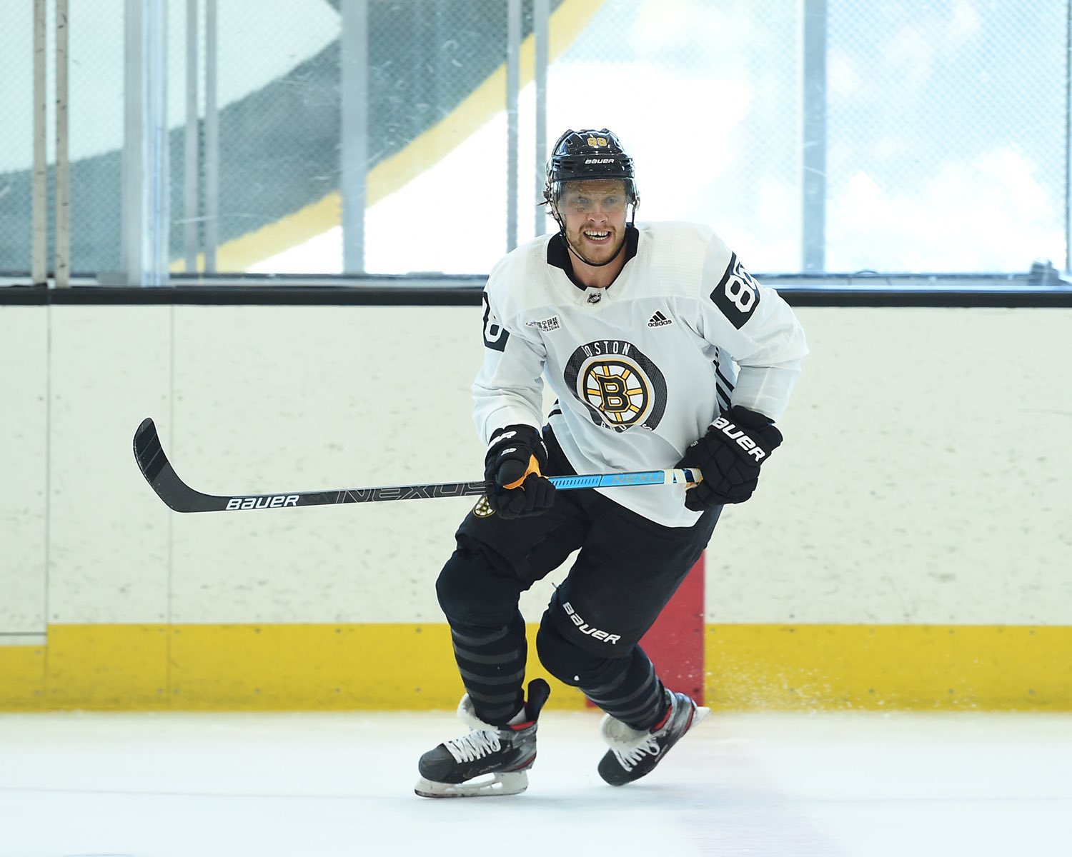 David_pastrnak Bostonbruinsfan22 (CC BY-SA 4.0)  .jpg