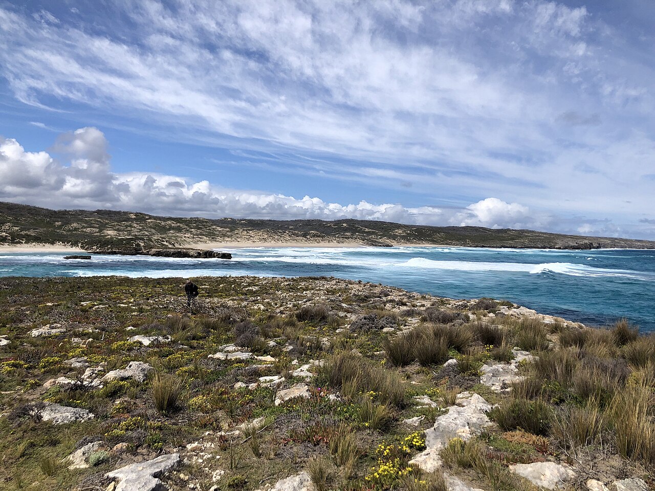 Kangaroo Island&rsquo;s rugged Hanson Bay coastline captures the wild beauty of the Island&rsquo;s south coast. Photo by DrMobs, licensed under CC-BY-SA-4.0. 