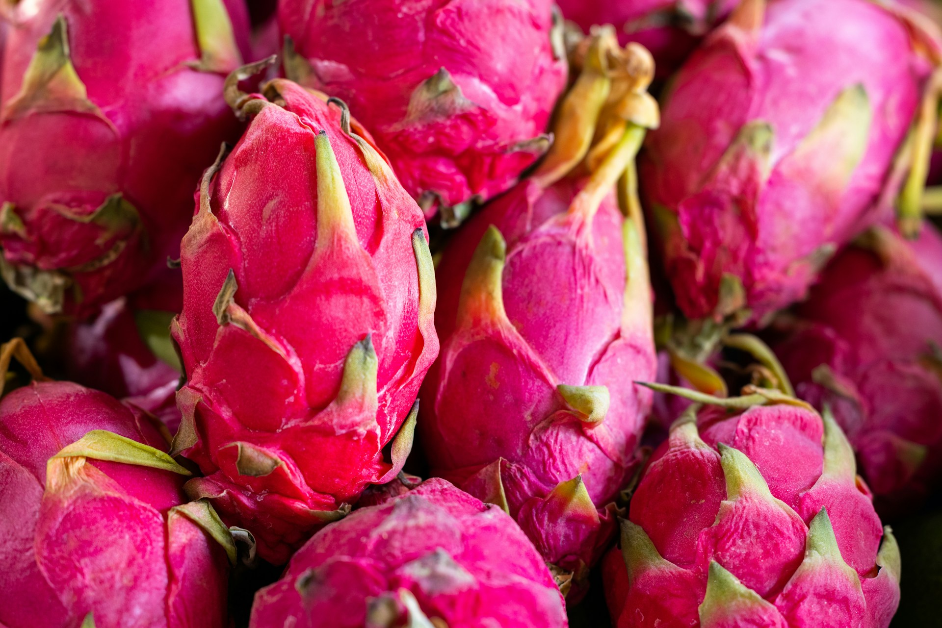 Dragon Fruit Unsplash