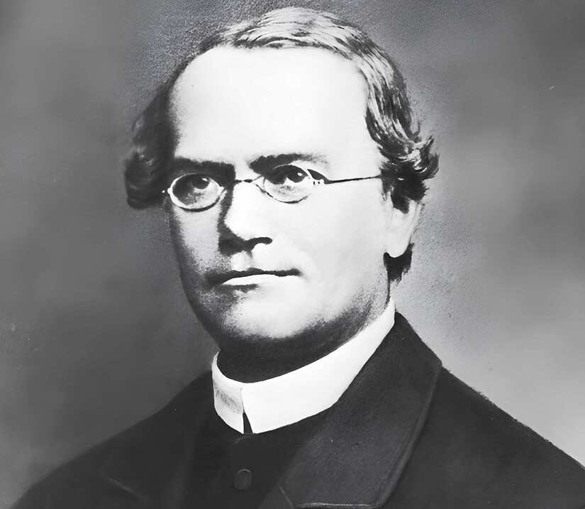 Gregor Mendel Genetics