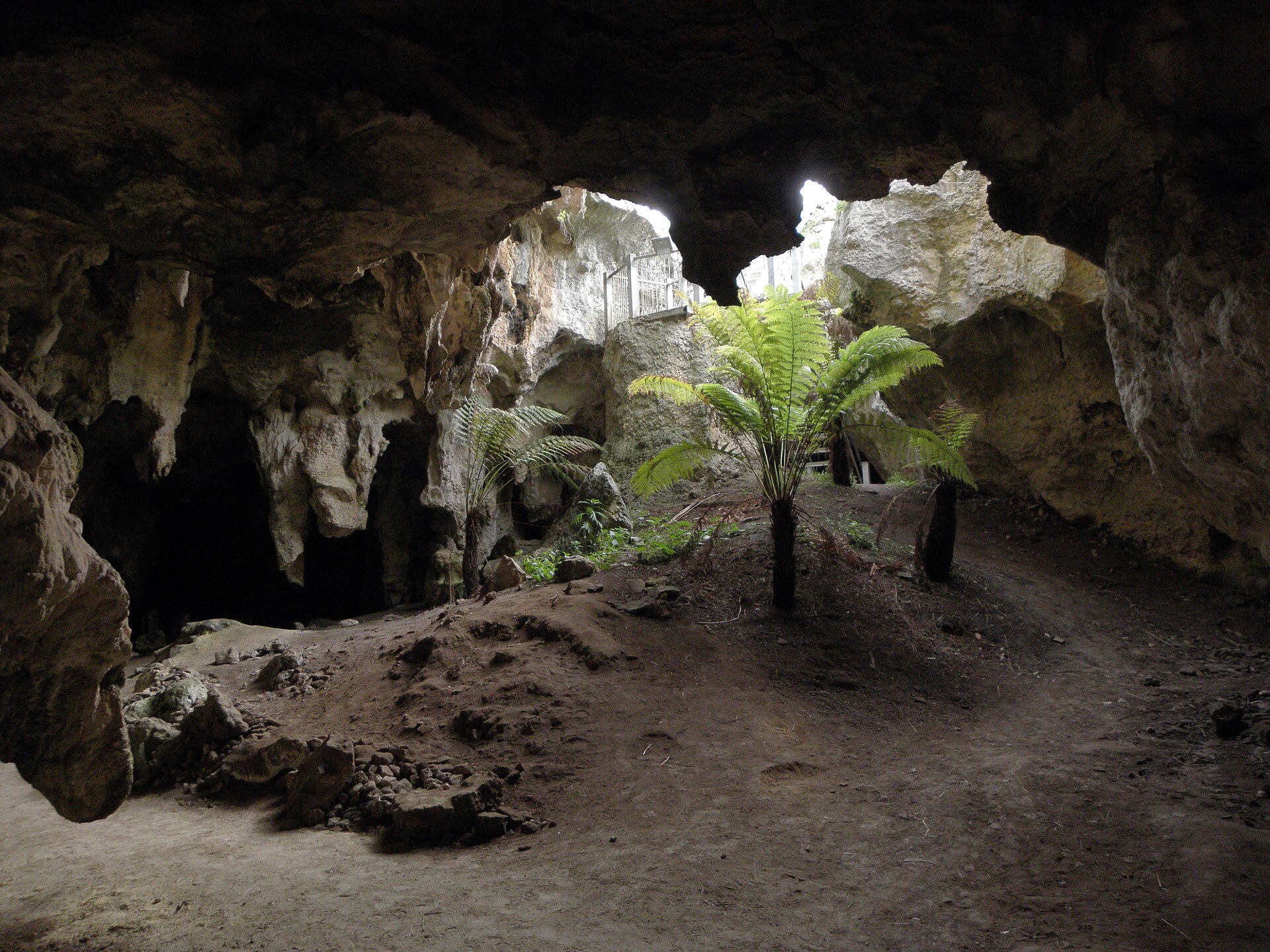 Naracoorte Caves National Park Berichard Feral Arts Wikimedia (CC BY-2.0)
