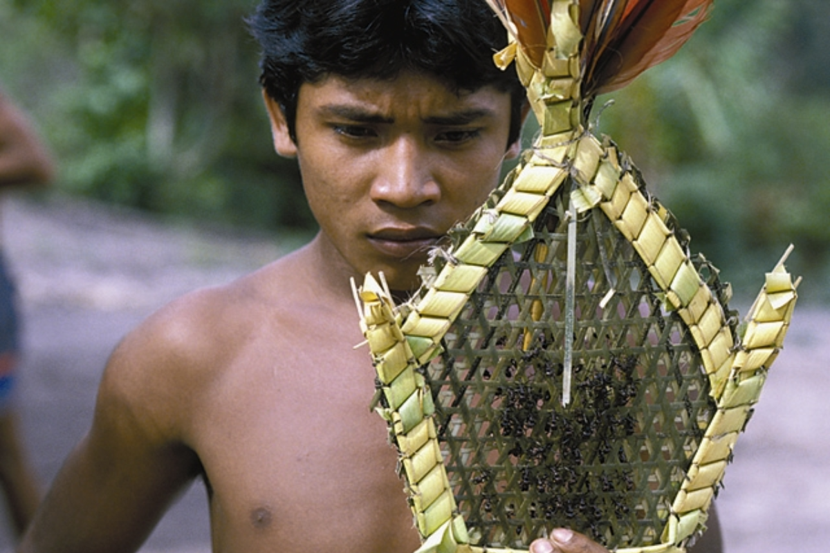 A young Satere Mawe during a tucandeira ritual