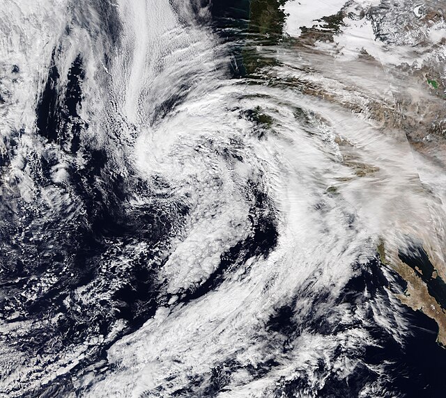 Storm Fern Wikimedia Commons