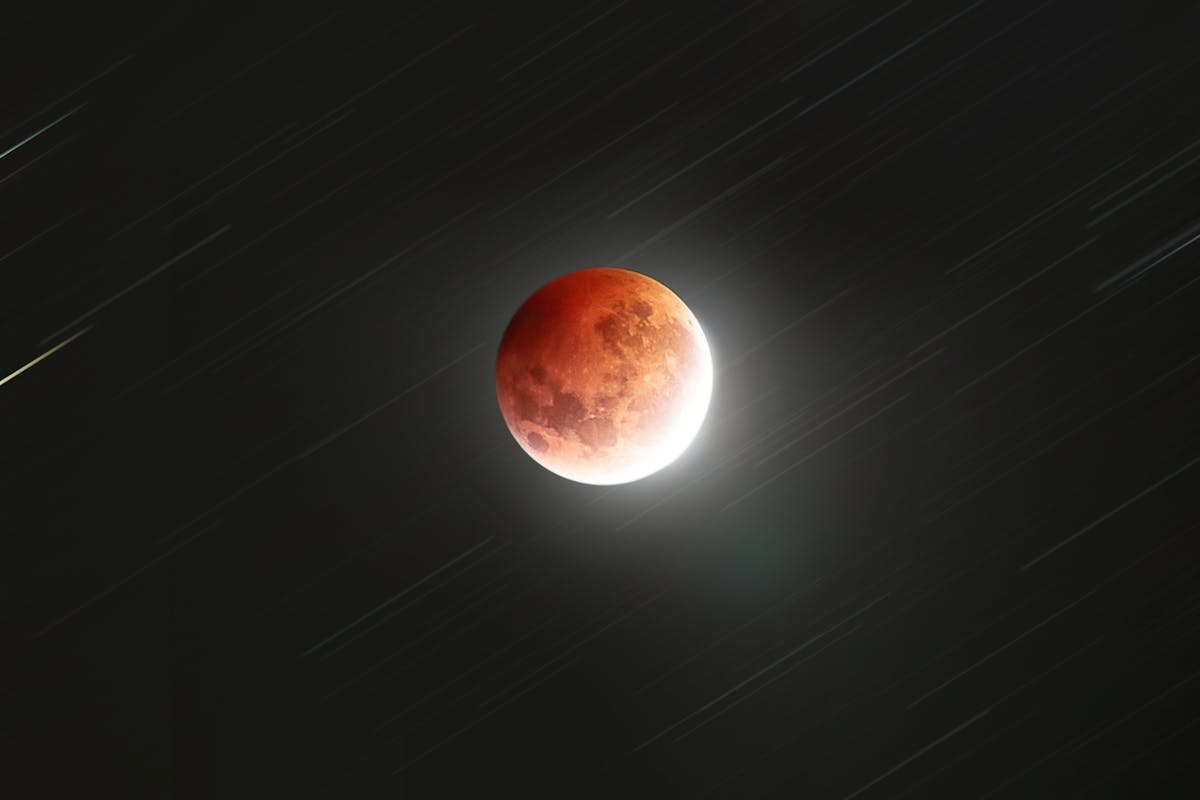 Stunning Blood Moon Eclipse Over New Zealand Sky  Jarod Barton from Pexels