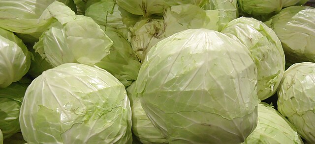 Cabbage-Diabetes-Health