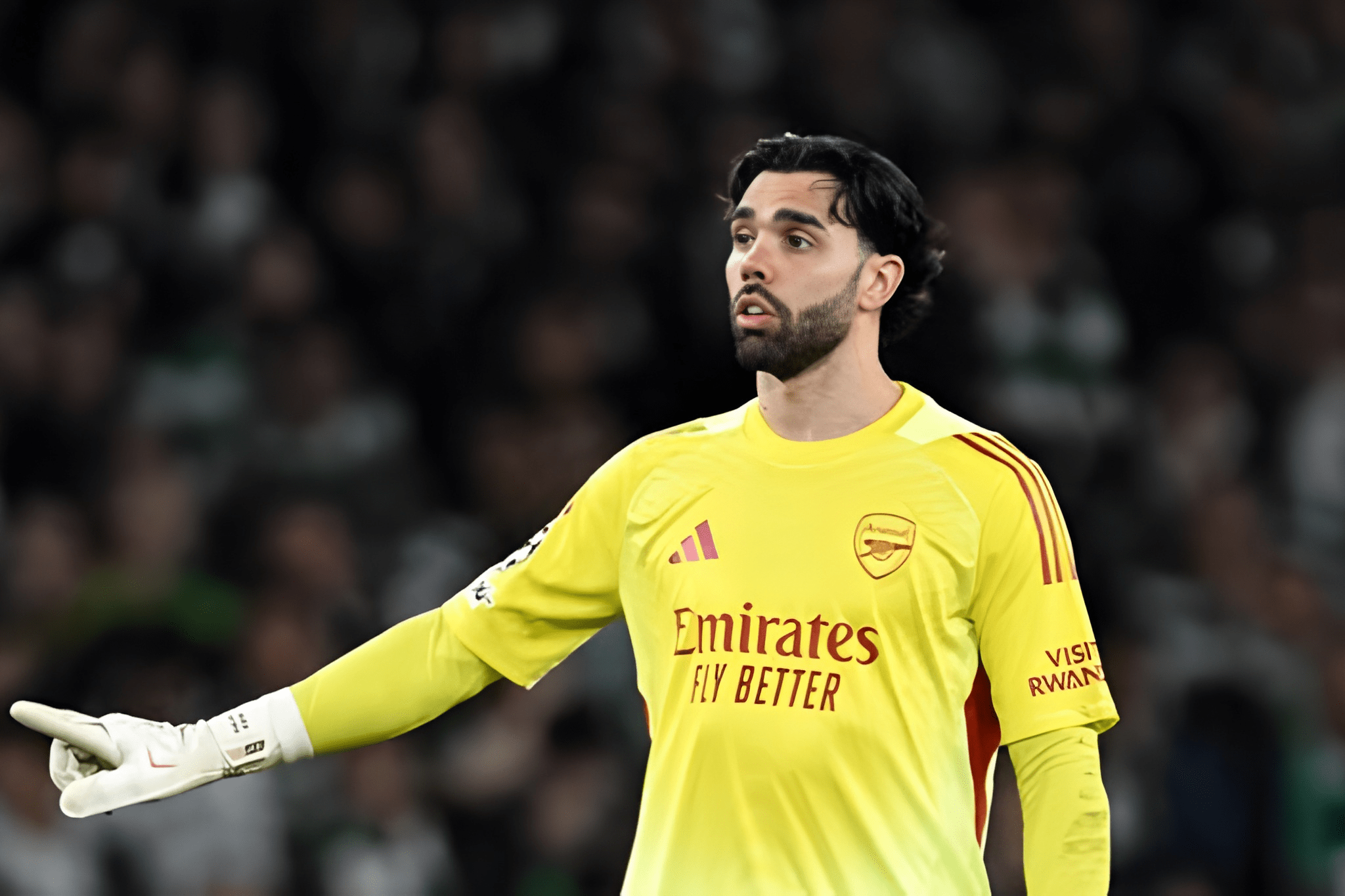 David Raya Arsenal