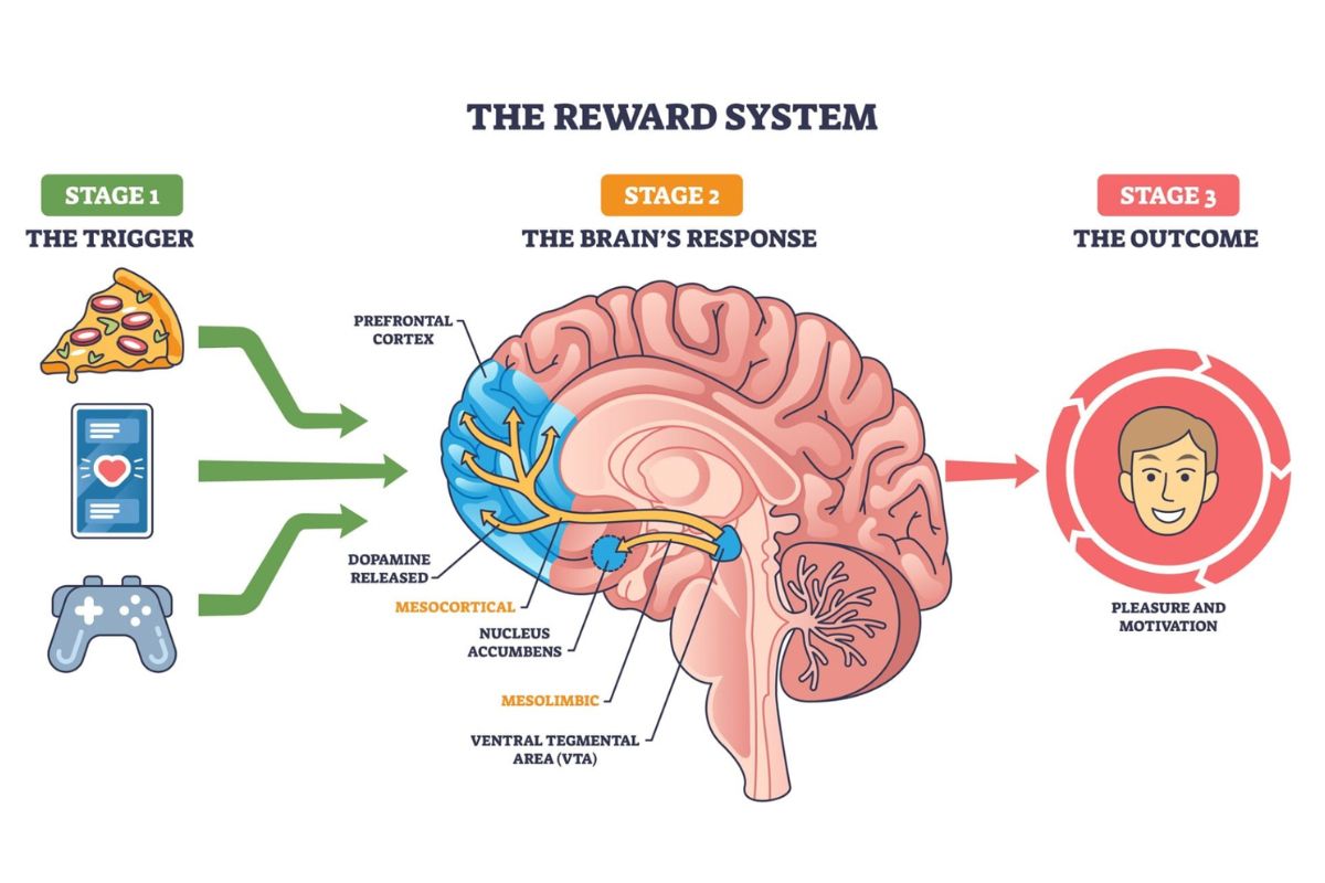Hedonic Explanation Diagram